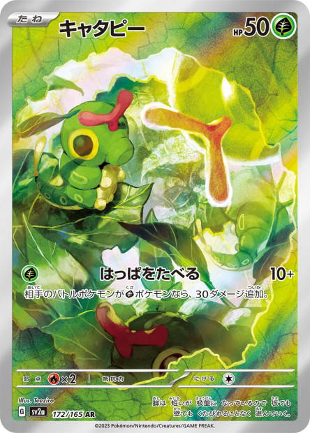 Image de la carte Caterpie 172/165