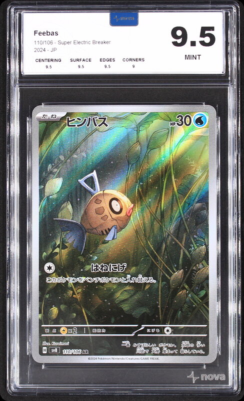 Scan de la carte Feebas 110/106